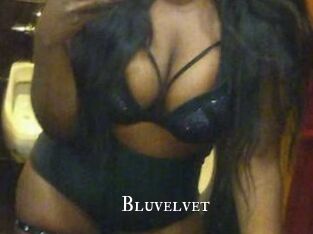Bluvelvet