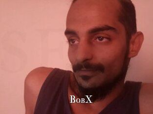 BobX