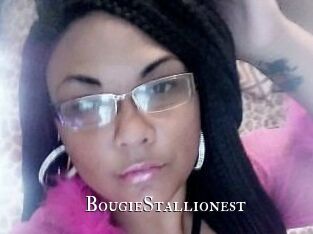 BougieStallionest