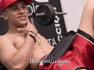 Boysensualhard