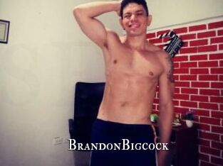 BrandonBigcock