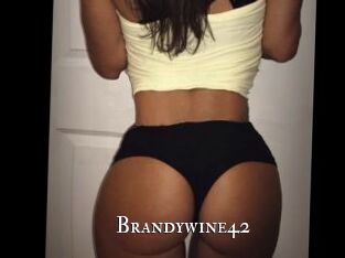 Brandywine42
