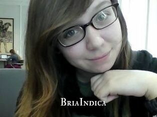 BriaIndica