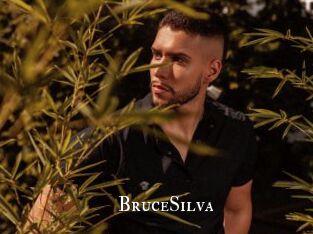 BruceSilva