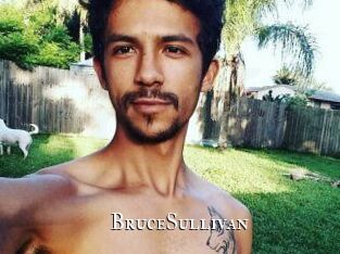 Bruce_Sullivan