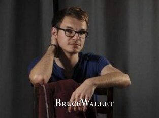 BruceWallet