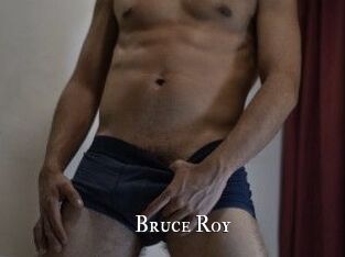Bruce_Roy cams