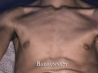 Badbunny75