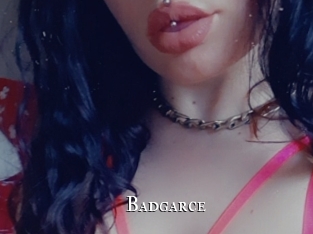 Badgarce
