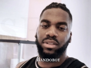 bandoboy cams