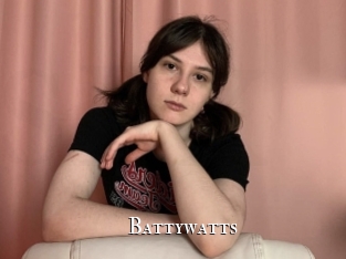 Battywatts