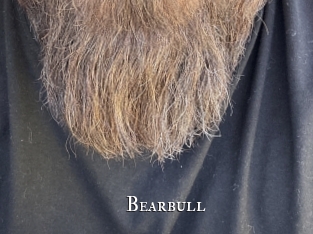 bearbull cams