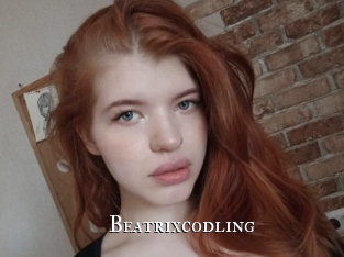 beatrixcodling cams