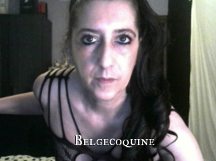 Belgecoquine