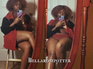 Bellarosepotter