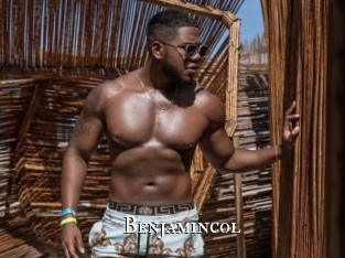 benjamincol cams