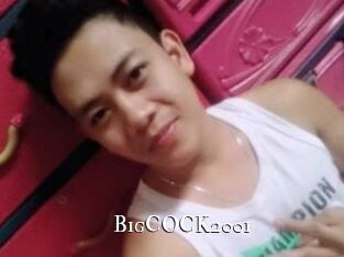 BigCOCK2001