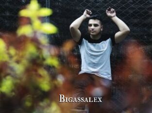 Bigassalex