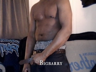 Bigbarry