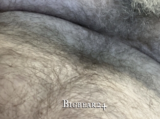 bigbear24 cams