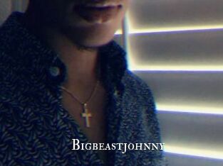Bigbeastjohnny
