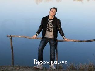Bigcockslave