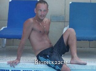 Bigdick22cm