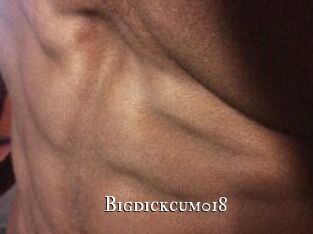 Bigdickcum018