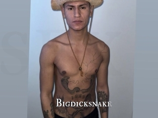 Bigdicksnake