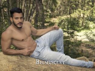 Bigmusclet
