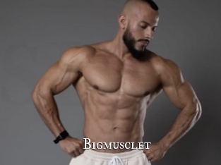 bigmusclet cams