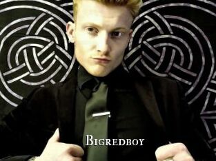 Bigredboy