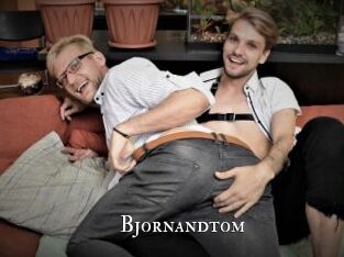 bjornandtom cams