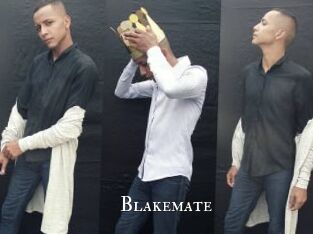 Blakemate