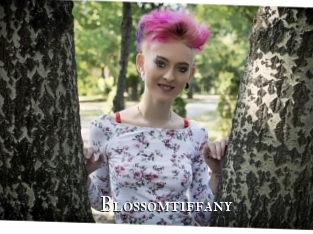 blossomtiffany cams