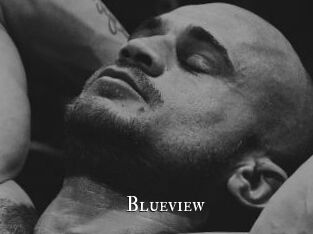 blueview cams