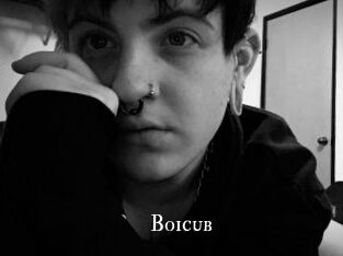 Boicub