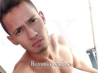Boybig_dick22cm