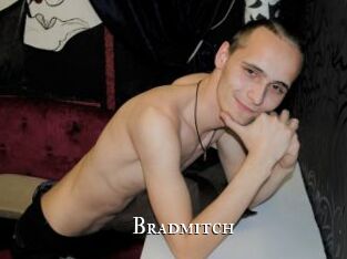 Bradmitch