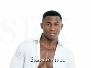 Branches_intl