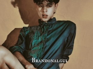 brandonalgui cams