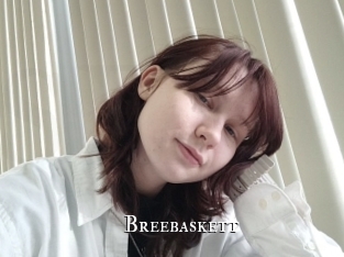 Breebaskett