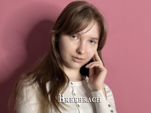 Breebrach