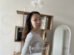 Breecoote