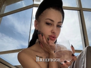 Breefigge