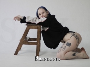 brendanix cams