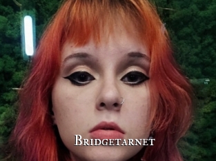 Bridgetarnet