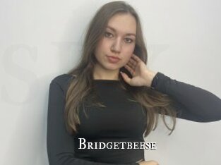 bridgetbeese cams