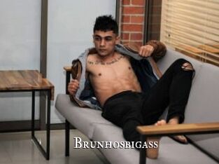 Brunhosbigass