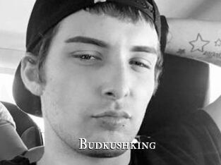 Budkushking